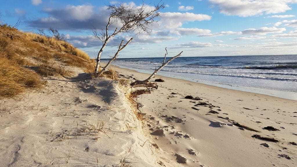 Österlen - Schweden